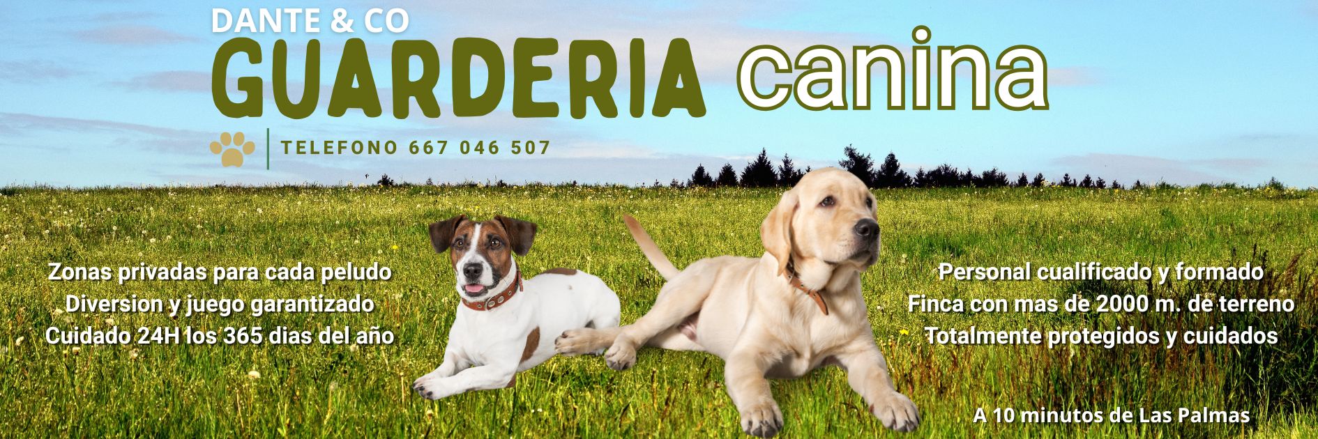 Guarderia
